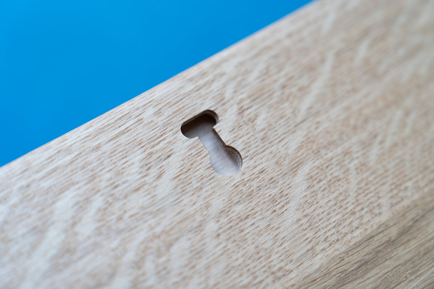 Holzschild Psalm 1